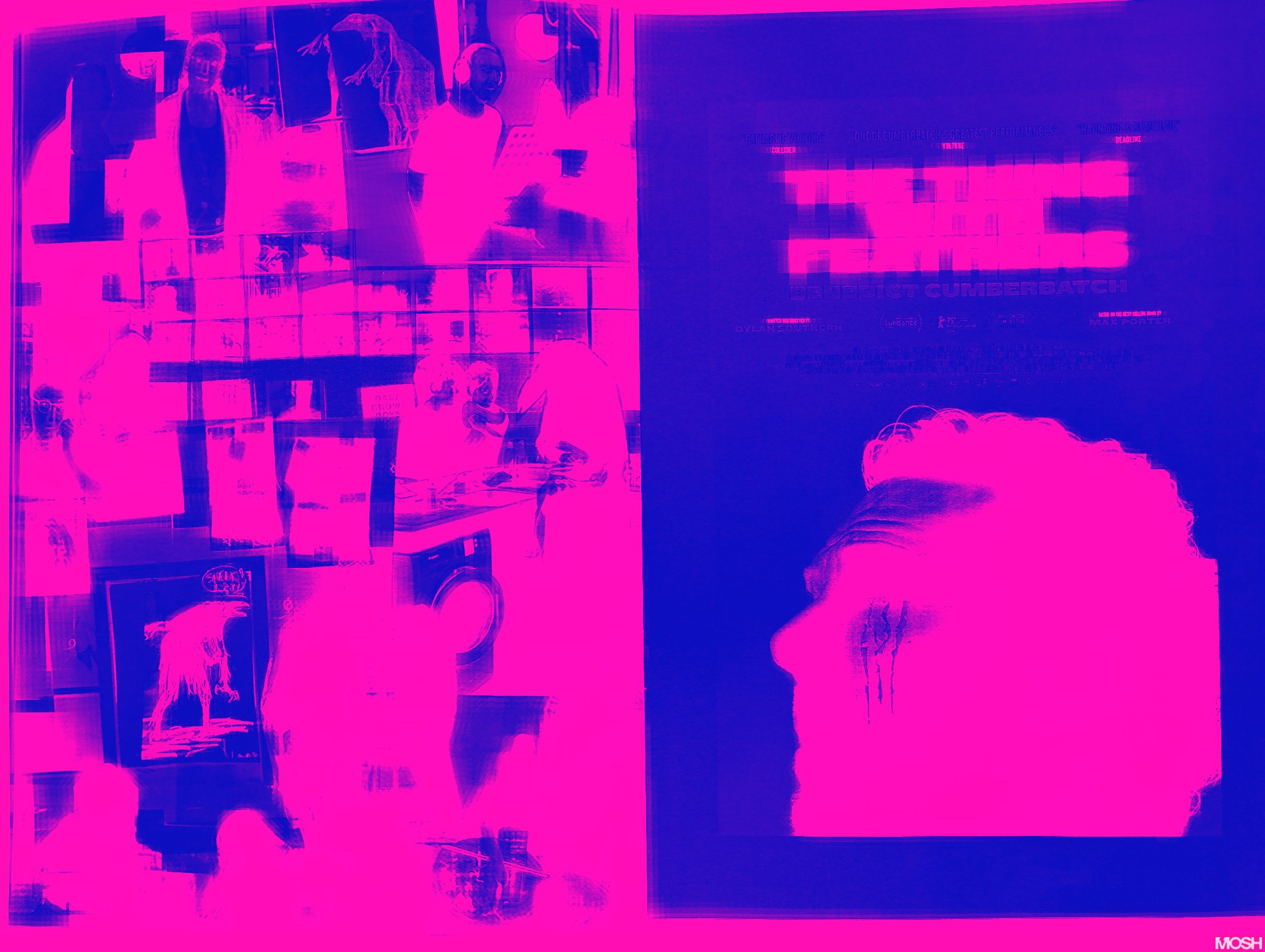 the thing with feathers.